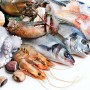 Контроль за качеством и безопасностью рыбы и морепродуктов