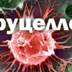 Бруцеллез