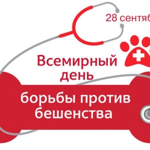 Всемирный день борьбы против бешенства