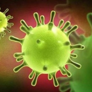 Меры предосторожности по недопущению случаев заболевания, вызванных коронавирусом!
